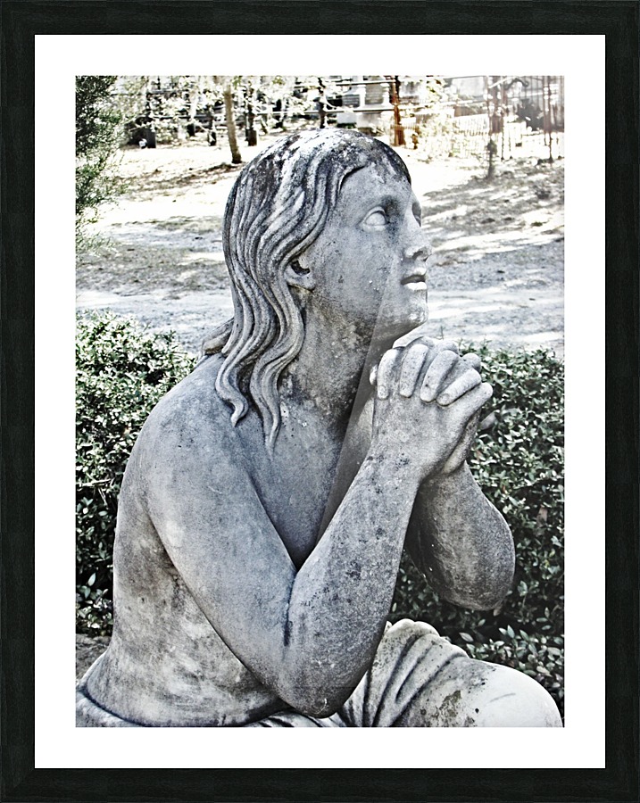 Pleading Picture Frame print