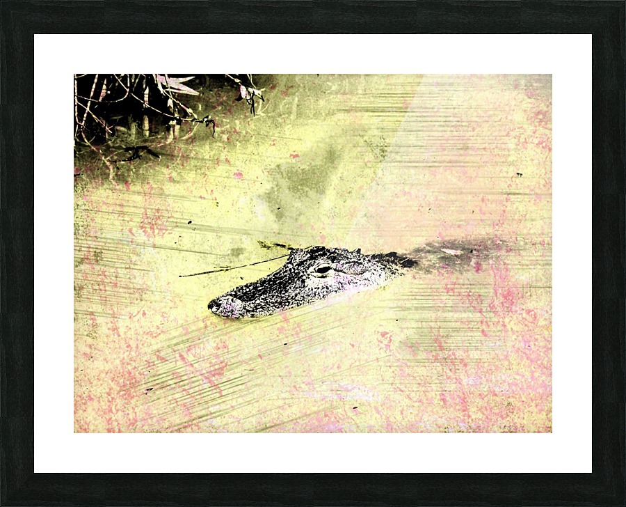 Lurking Picture Frame print