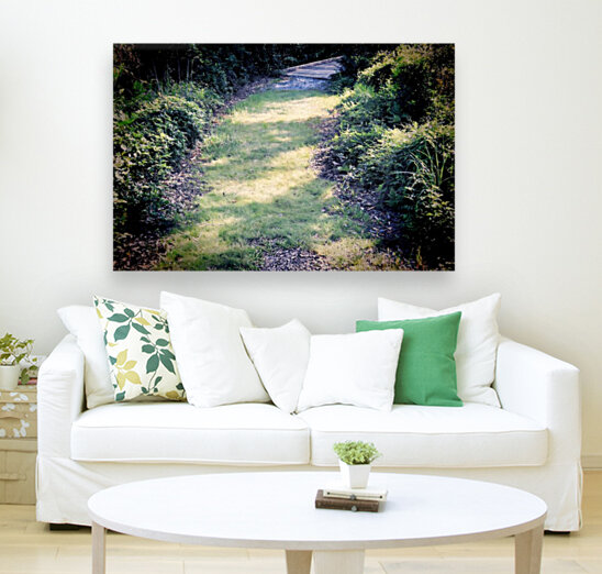 A Soft Walk Reproduction