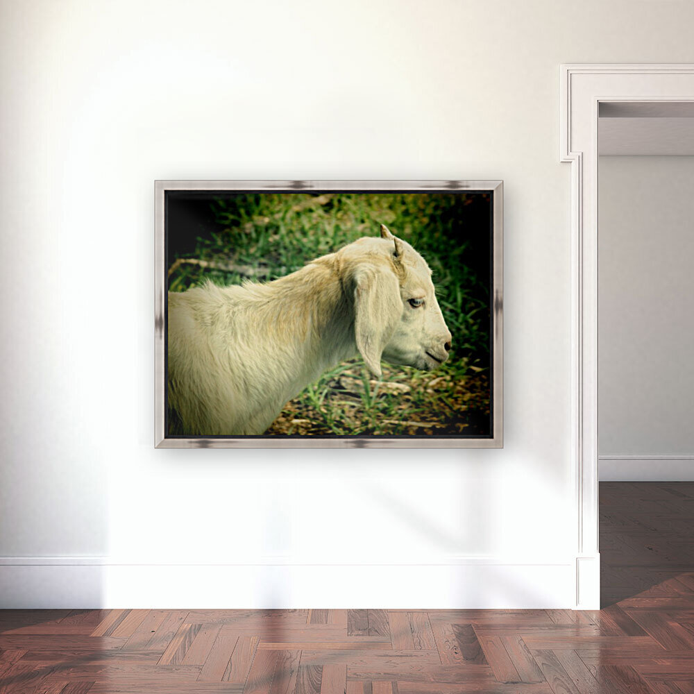 New Beginnings Reproduction