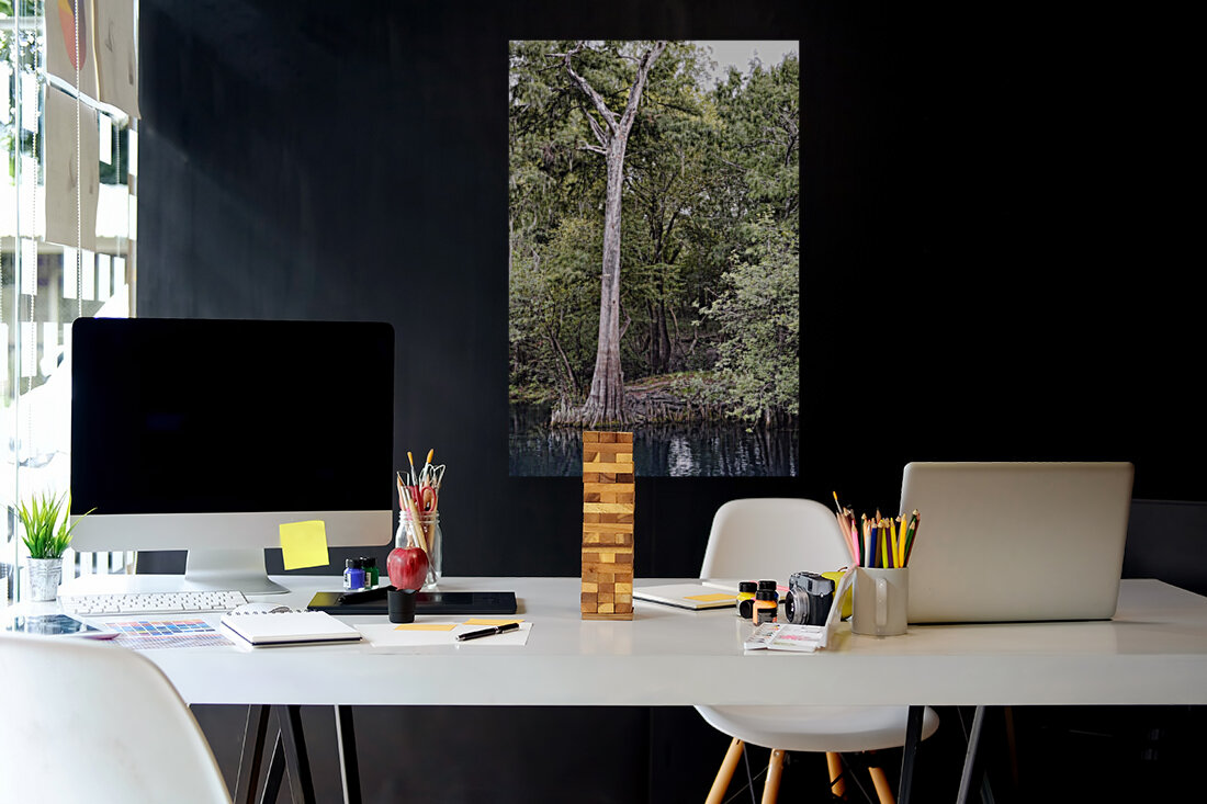 Royal Cypress Reproduction