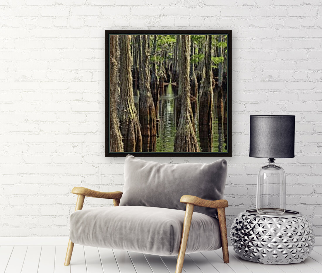 Swamp Path Reproduction