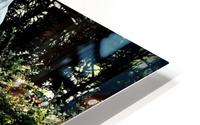Gracie V HD Metal print