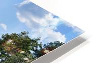 Serenity Escape HD Metal print