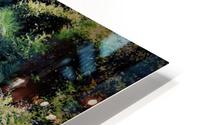 A Soft Walk HD Metal print