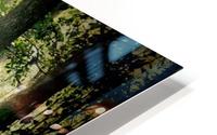 Peaceful Walk HD Metal print
