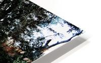 Trembling Earth HD Metal print