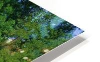 Summertime Fun HD Metal print