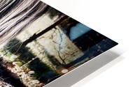 Upset Child HD Metal print