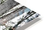 Joined Forever HD Metal print