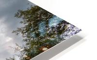 Riverbank HD Metal print