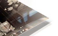 Behind Glass HD Metal print