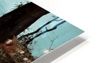 Watch Your Step HD Metal print