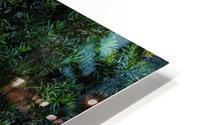 002 HD Metal print