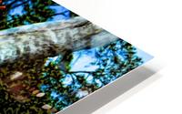I Can Sing HD Metal print