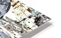 Pleading HD Metal print