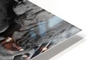Stone Faced HD Metal print