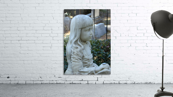 Gracie VII Wall Preview