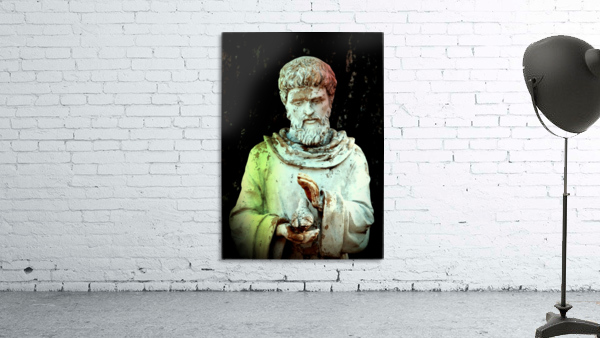 St Francis Wall Preview