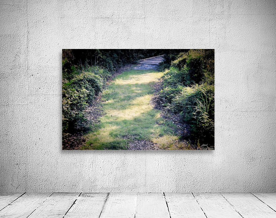 A Soft Walk Wall Preview