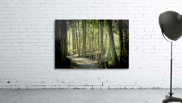 Peaceful Walk Wall Preview