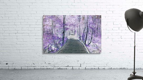 New Eyes Wall Preview