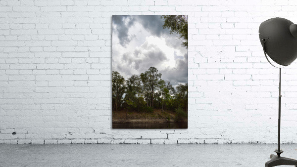 Riverbank Wall Preview