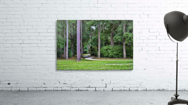 Winding Path Wall Preview