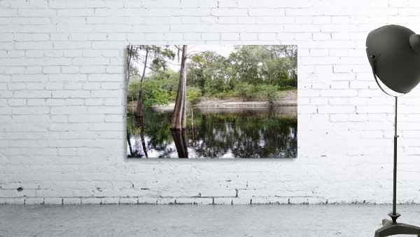 Suwanee Cypress Wall Preview