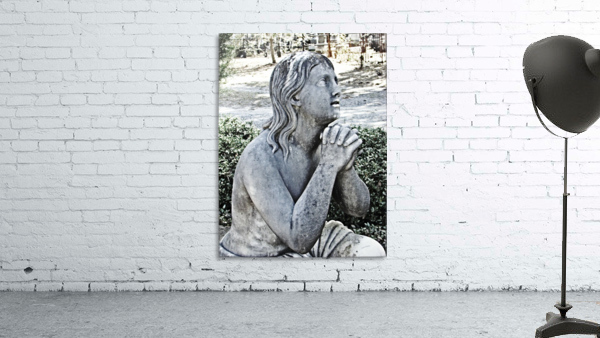 Pleading Wall Preview