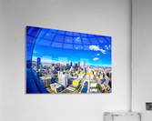 Fly High  Acrylic Print