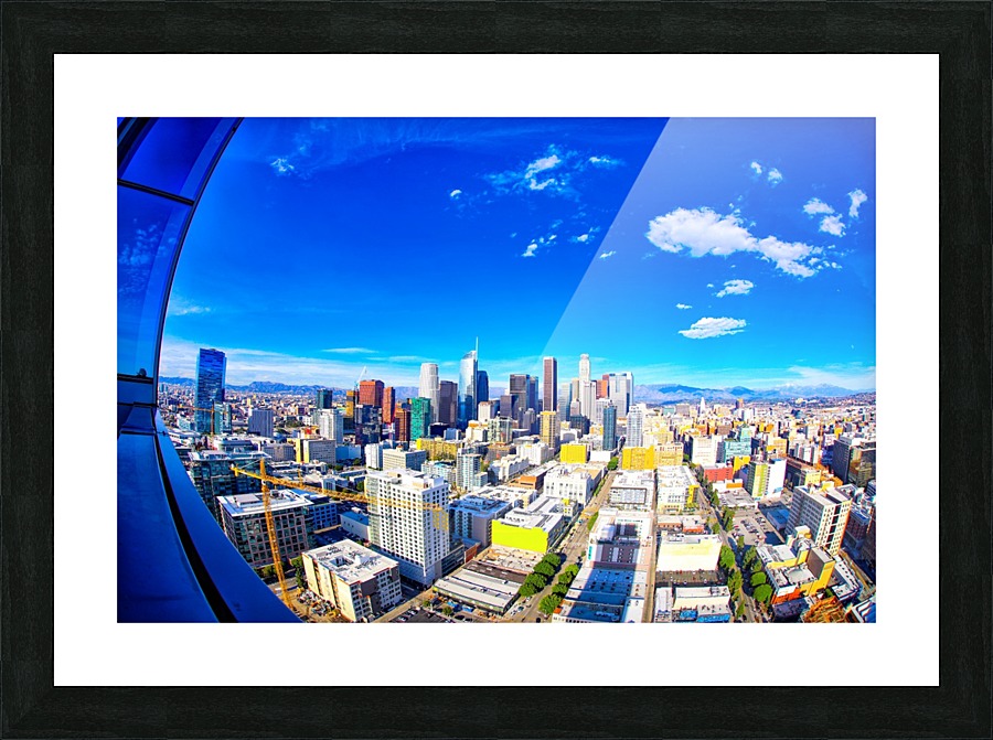 Fly High  Picture Frame print