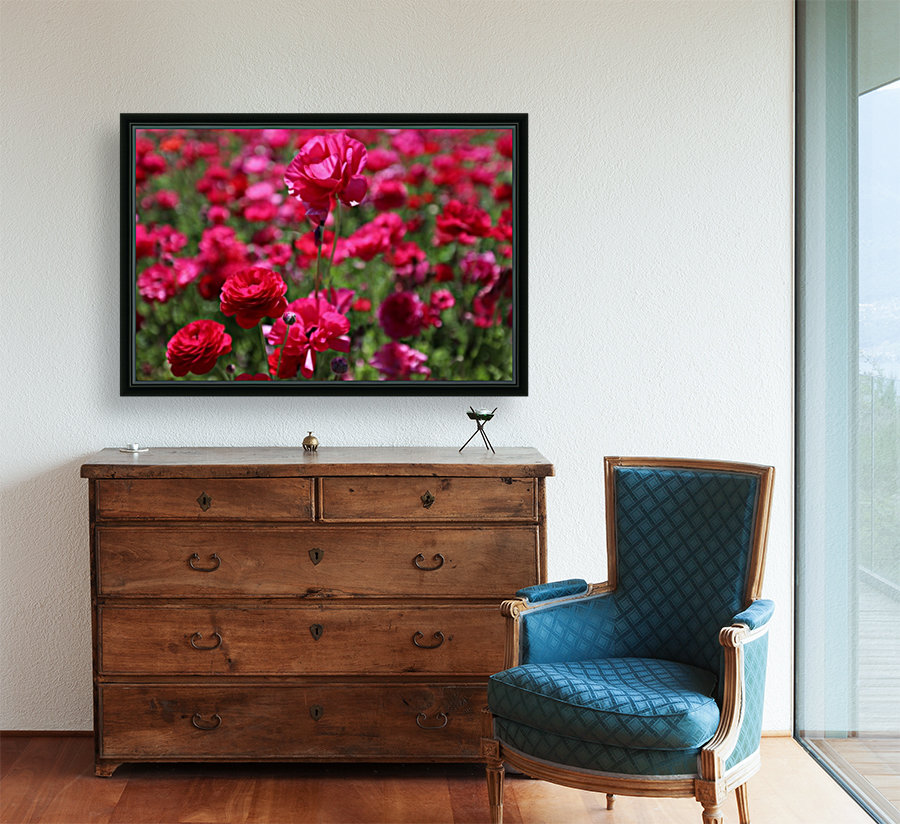 Never-ending Roses  Reproduction