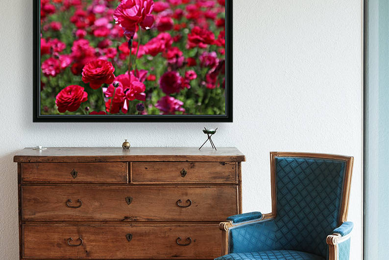 Never-ending Roses  by JOSEPH