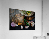 Morels & Barley top1 Acrylic Print