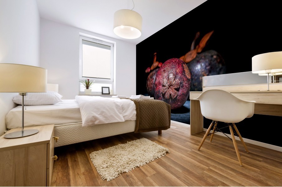 Mangosteen  Mural print