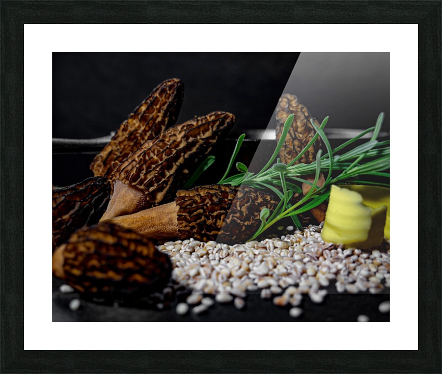 Morels & Barley 1 Picture Frame print