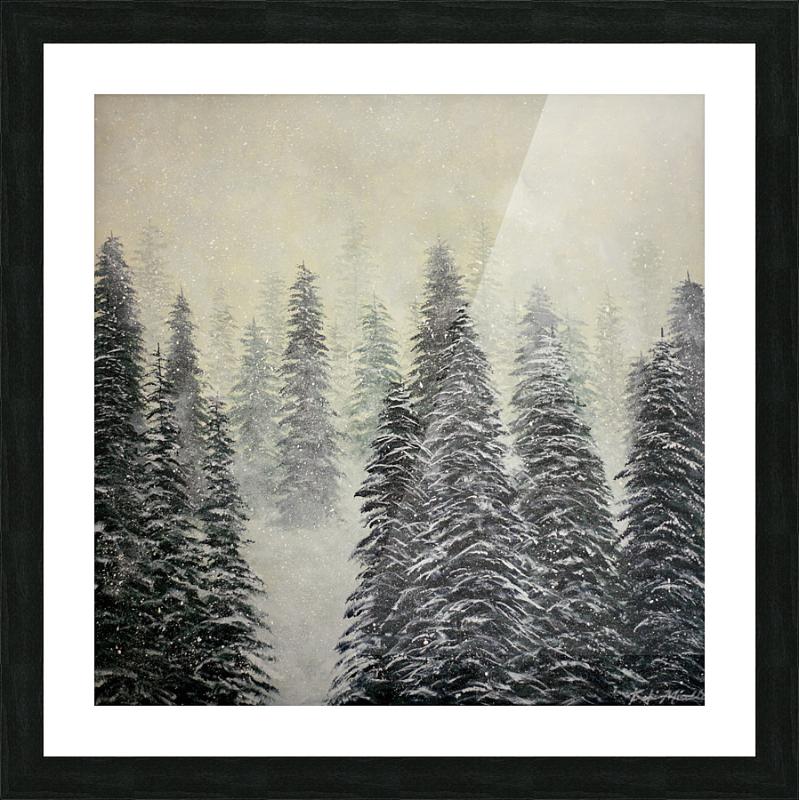 Pine Tree Vermont  Picture Frame print