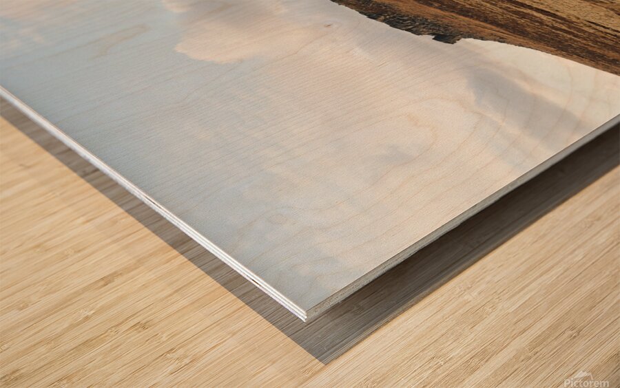 Higger Tor Peak District Landscape  Wood print