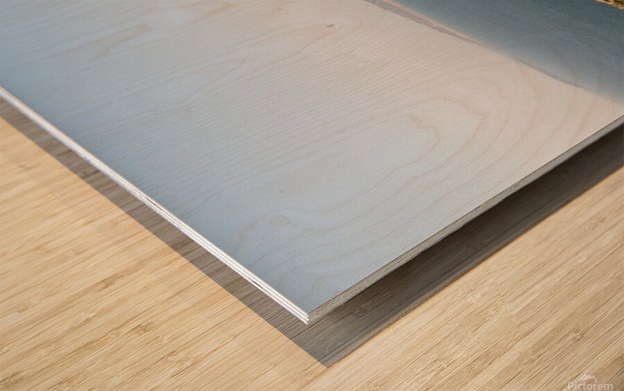 Rhosilli bay beach 1 Wood print