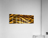  OZ242 3:1 SERIES Acrylic Print