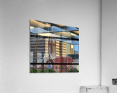 OZ212 Acrylic Print