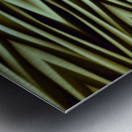 OZ239 Impression metal