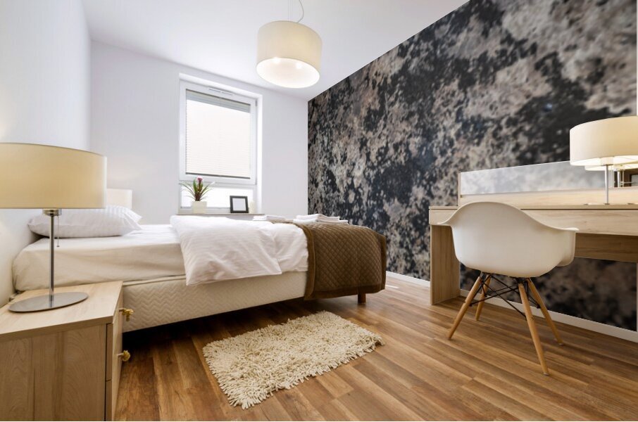 HR011 Mural print