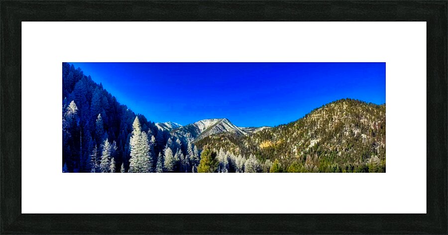 vick 1 Picture Frame print