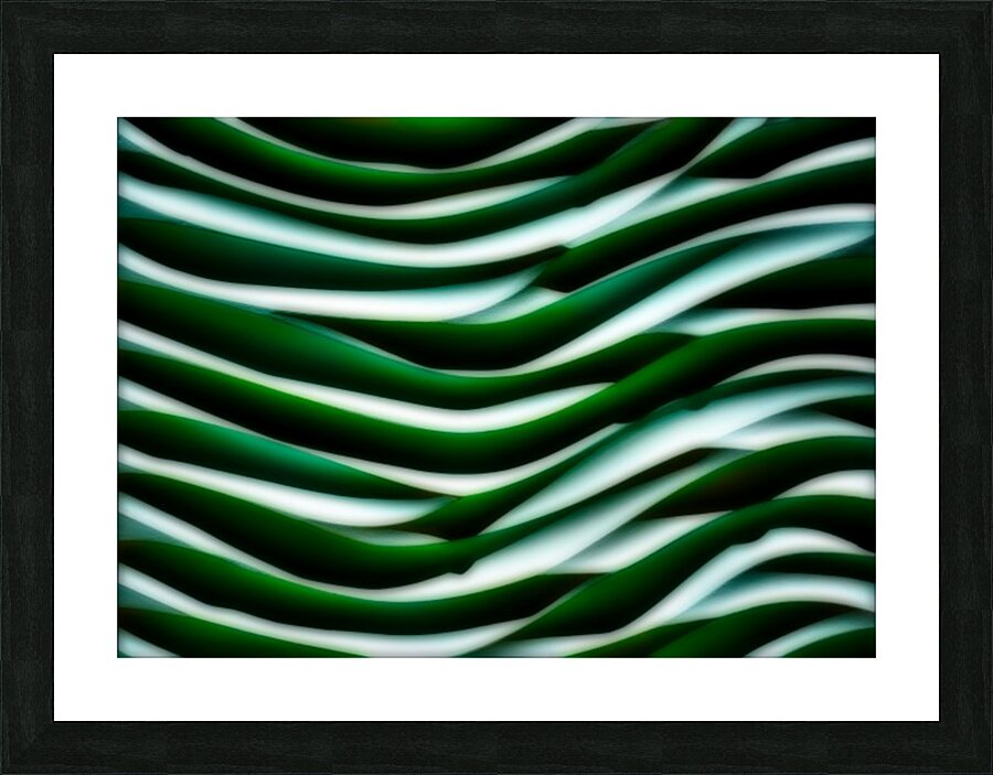 SF147 Picture Frame print
