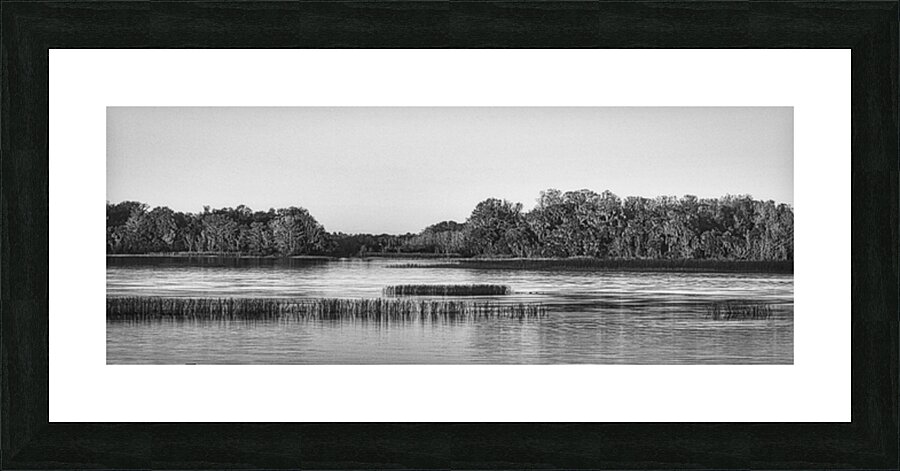 HR037 3:1 SERIES Picture Frame print