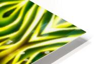 SF118 HD Metal print