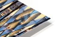 OZ243  HD Metal print