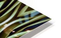 OZ254 HD Metal print